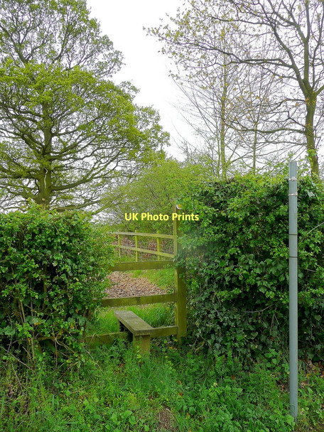 Photo 6"x4" Footpath to Caerwents Kent's Green c2011