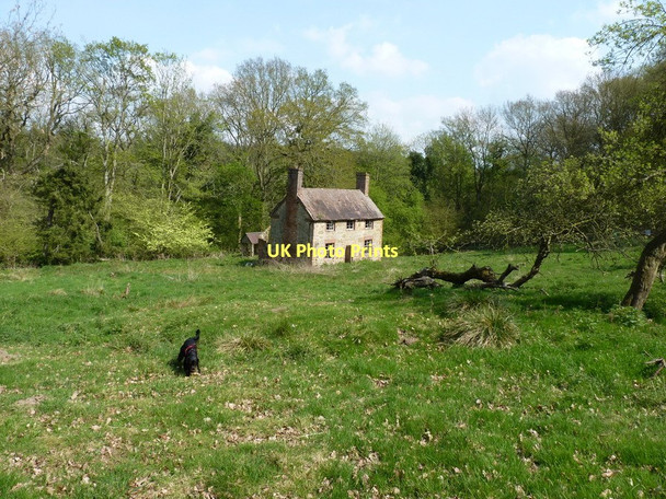 Photo 6"x4" The abandoned farmhouse at Darley Darley\/SO6899 c2011