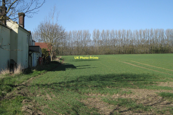 Photo 6"x4" Orchard southwest of Aldborough Aldborough\/TG1834 c2011