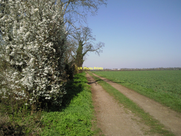 Photo 6"x4" Track near Grantchester Grantchester c2011