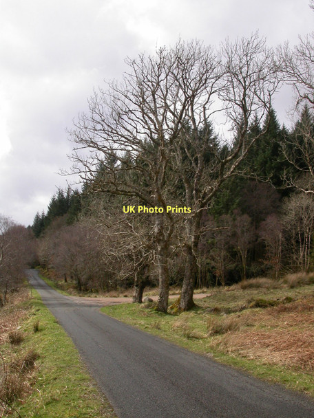 Photo 6"x4" Road by Loch Sunart Salen\/An Sailean c2005