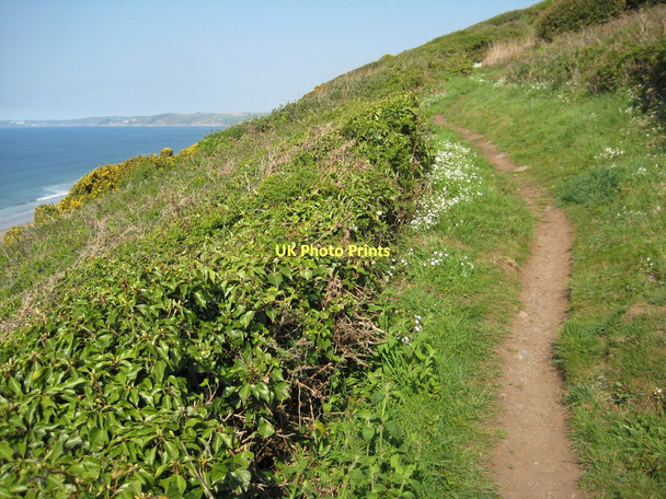 Photo 6"x4" Coast path at Tregonhawke Anderton\/SX4251 c2011