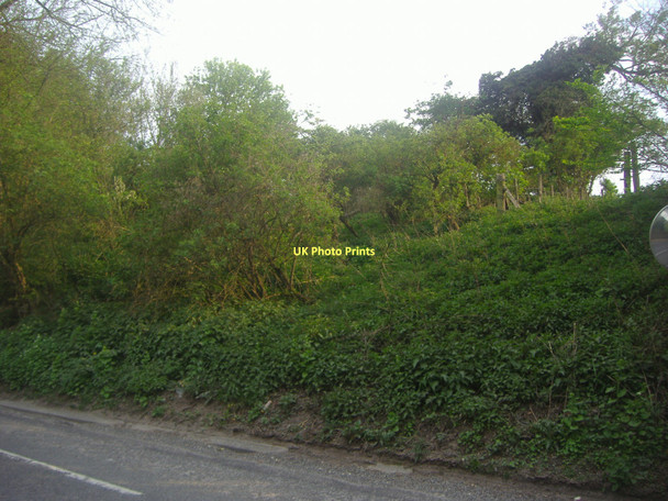 Photo 6"x4" Green verge by Latimer Road Amersham c2011