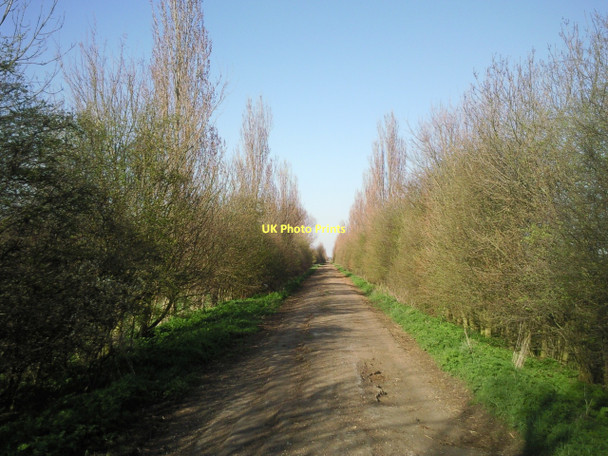 Photo 6"x4" Long Drove near Over Church End\/TL3770 c2011
