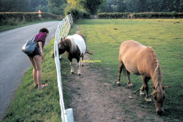 Photo 6"x4" Llangollen - 1984 Cefn-bychan\/SJ2741 c1984