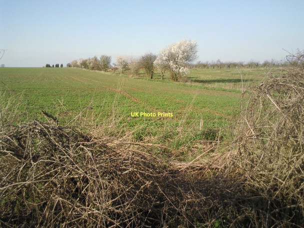 Photo 6"x4" View from Bluntisham Heath Road Bluntisham c2011