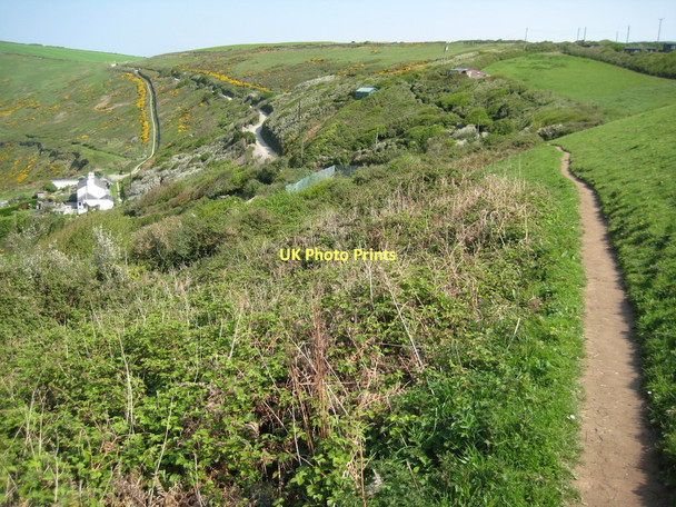Photo 6"x4" Coast path above of Polhawn Cove Rame\/SX4249 c2011