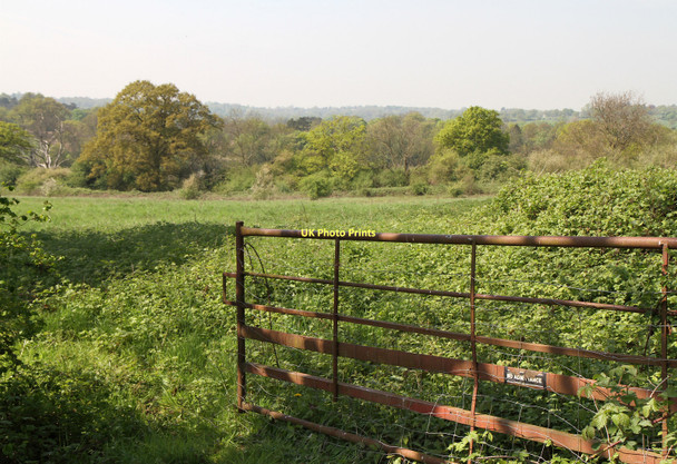 Photo 6"x4" The Open Gate Barnet c2011