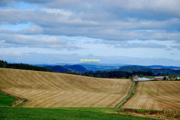 Photo 6"x4" Harvest Fields Waterloo\/NO0536 c2010