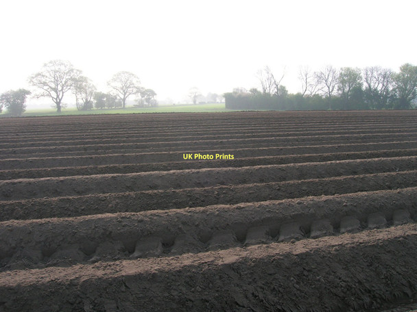 Photo 6"x4" Ploughed field north of Wilberfoss Wilberfoss c2011