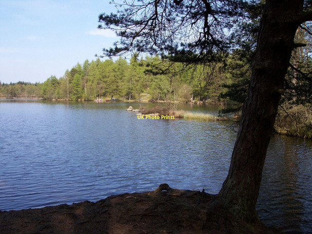 Photo 6"x4" Tranquil scene at High Dam Finsthwaite c2011