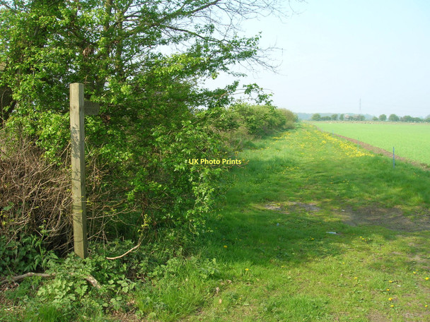 Photo 6"x4" Footpath near Woodlands Farm Thornton\/SE7545 c2011