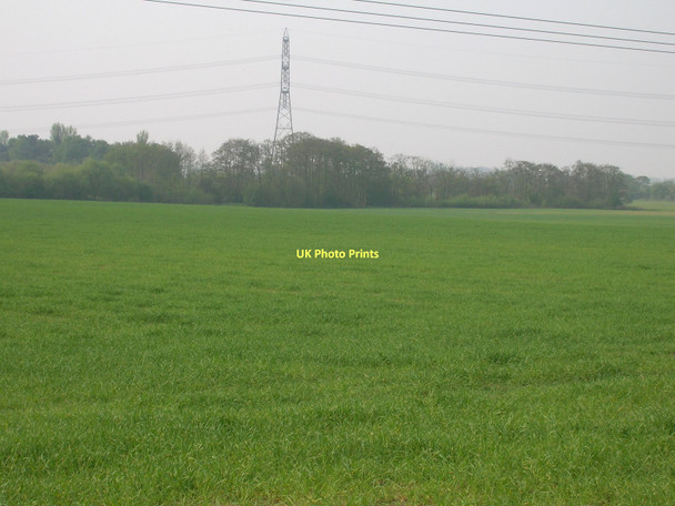 Photo 6"x4" Farmland, Thornton Common Thornton\/SE7545 c2011