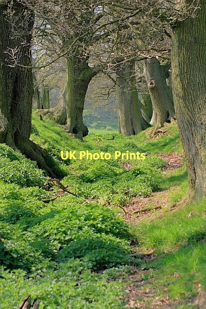 Photo 6"x4" Jagger Lane Hartforth c2011