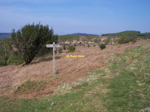 Photo 6"x4" Footpath sign near Rusland Heights Rushland Cross c2011
