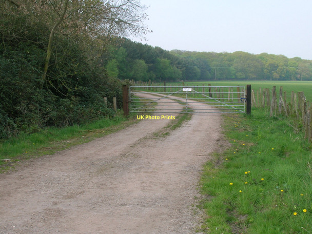 Photo 6"x4" Farm Track off Dauby Lane Kexby\/SE7051 c2011