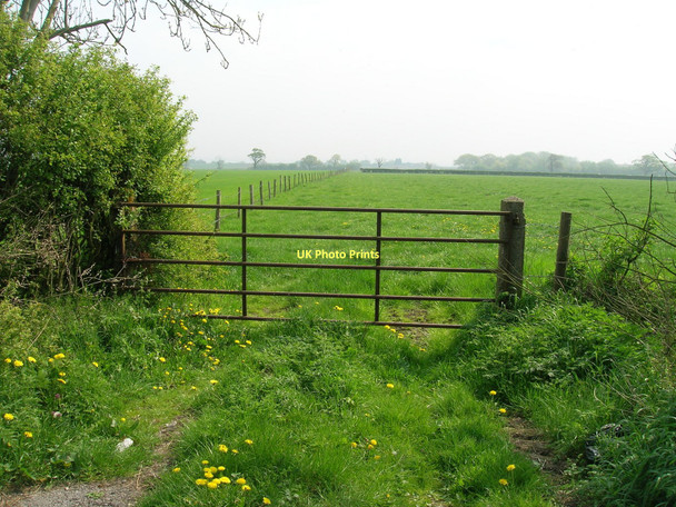 Photo 6"x4" Field entrance off Long Lane Kexby\/SE7051 c2011