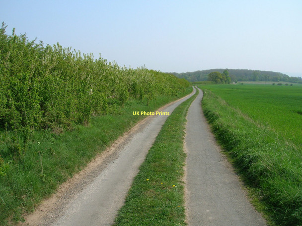 Photo 6"x4" Minor road towards Woodhouse Farm Bossall c2011