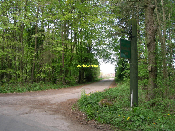 Photo 6"x4" Track to Gravel Pit Farm Sand Hutton c2011
