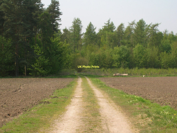 Photo 6"x4" Farm track, Scrogs Bottoms Sand Hutton c2011