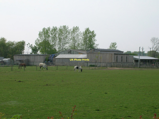 Photo 6"x4" Oaklands Farm Stockton on the Forest c2011