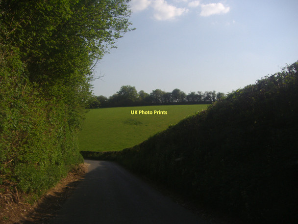 Photo 6"x4" Horse Hill, Leyhill Common Tyler's Hill c2011