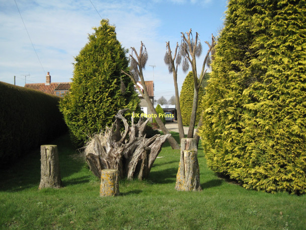 Photo 6"x4" Front garden, Ringbank Lane Hanworth\/TG1935 c2011
