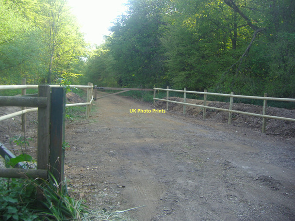 Photo 6"x4" Entrance to Codmore Wood Latimer c2011