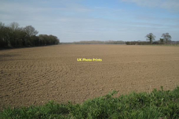 Photo 6"x4" Southeast corner of a large field Alby Hill c2011
