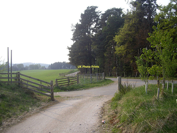 Photo 6"x4" The road from Coull to Tarland Tarland c2011