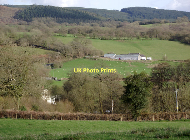 Photo 6"x4" Farmland at Cynghordy, Carmarthenshire Rhandirmwyn c2011