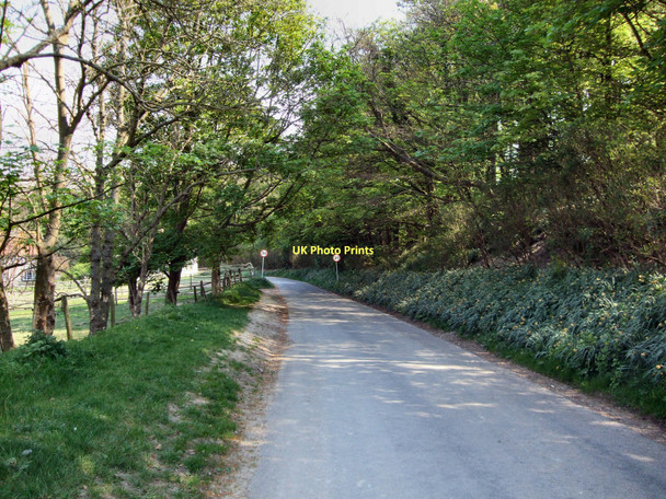 Photo 6"x4" Path into Telscombe Village Telscombe c2011