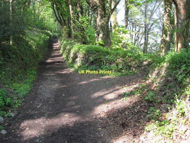 Photo 6"x4" Coast path south of Cawsand Cawsand c2011