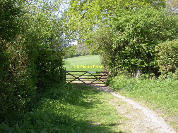 Photo 6"x4" East Stour, gate Stour Row c2011