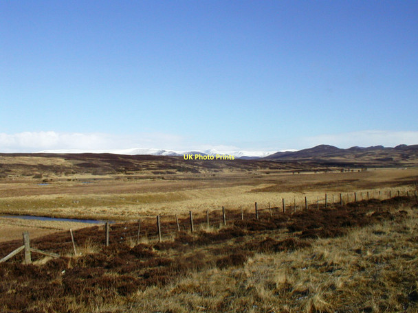 Photo 6"x4" Rough Grazing Dalwhinnie c2004