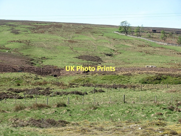 Photo 6"x4" Dunside Wood Dunside Hill c2011