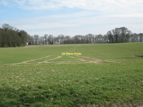 Photo 6"x4" The Belt 400 metres away Hanworth\/TG1935 c2011