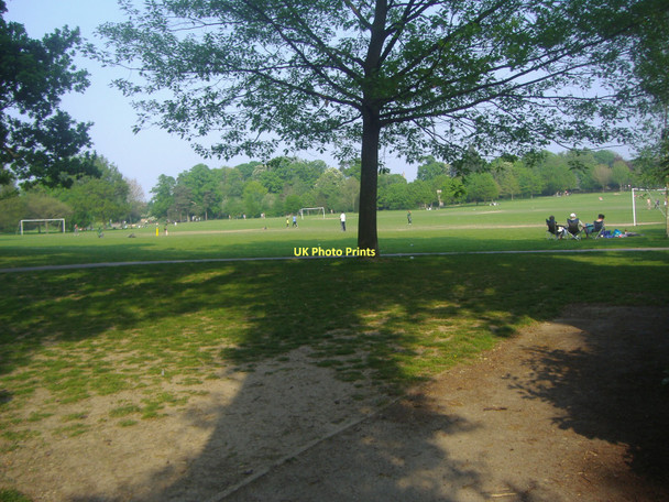 Photo 6"x4" Horsham Park Horsham\/TQ1731 c2011