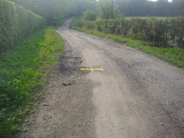 Photo 6"x4" Track towards Durfold Kingsfold\/TQ1636 c2011 P1