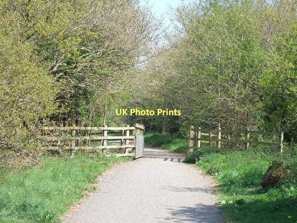 Photo 6"x4" Bridge on NCN 2 near Quentance Farm Littleham\/SY0281 c2011