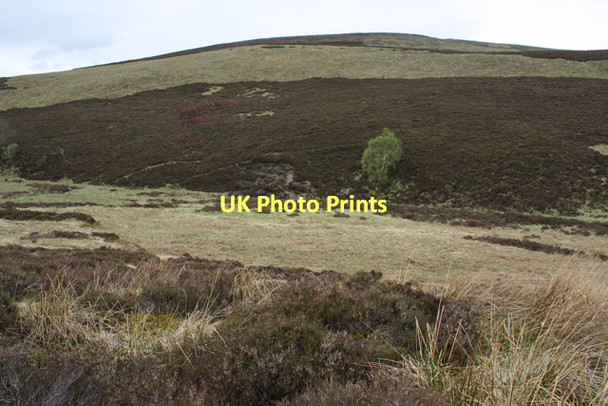 Photo 6"x4" Eastern slopes of Tor Elick Tor Elick c2011