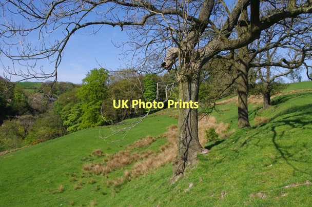 Photo 6"x4" Calder Vale Calder Vale c2011
