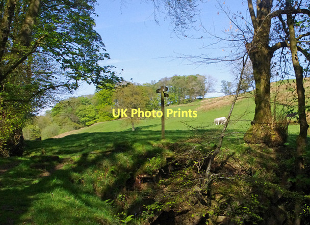 Photo 6"x4" Footpath junction, Calder Vale Calder Vale c2011