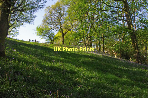 Photo 6"x4" Sullom Wood, Calder Vale Calder Vale c2011