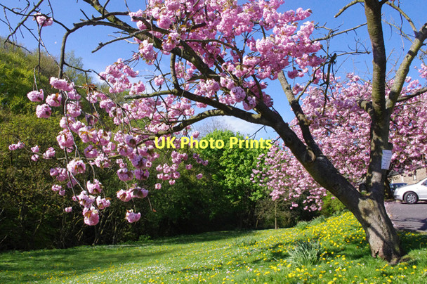 Photo 6"x4" Calder Vale Calder Vale c2011
