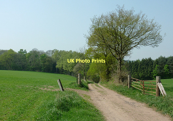 Photo 6"x4" Bridleway north of Stourton, Staffordshire Prestwood\/SO8686 c2011