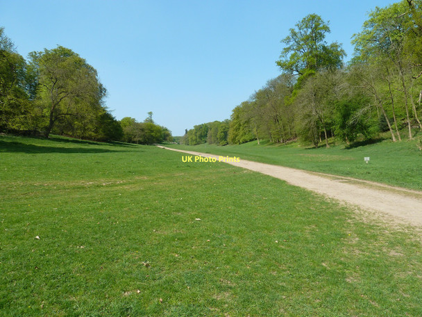 Photo 6"x4" Golden Valley, Ashridge Little Gaddesden c2011