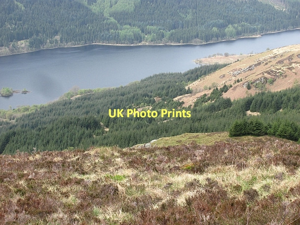 Photo 6"x4" Loch Ard Forest Kinlochard c2011