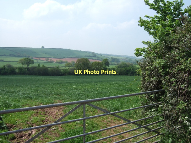 Photo 6"x4" Field near Waterlake, looking towards Ruxford Barton Crediton c2011
