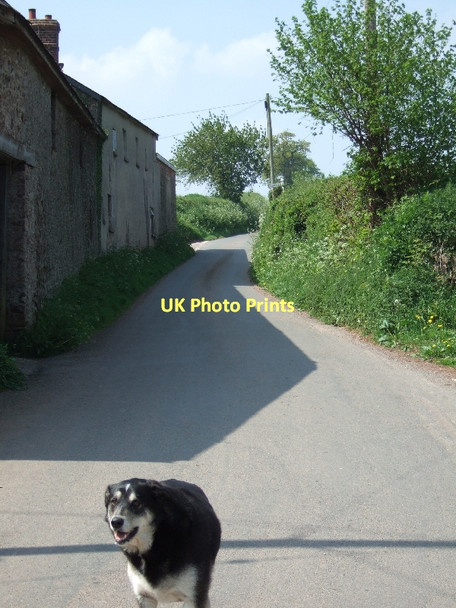 Photo 6"x4" Beware of the West Sandford dog Crediton c2011